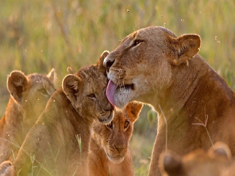 太原试管婴儿费用明细，试管婴儿法律规范