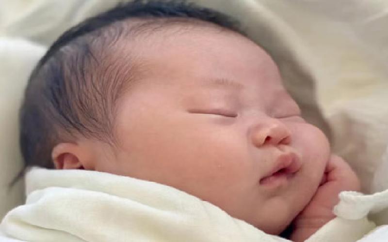 自由之水试管12代生